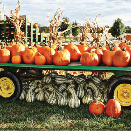 Russell Farms Country Fall Festival